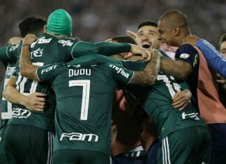 Palmeiras comemora