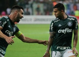 dudu palmeiras