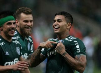dudu palmeiras comemora