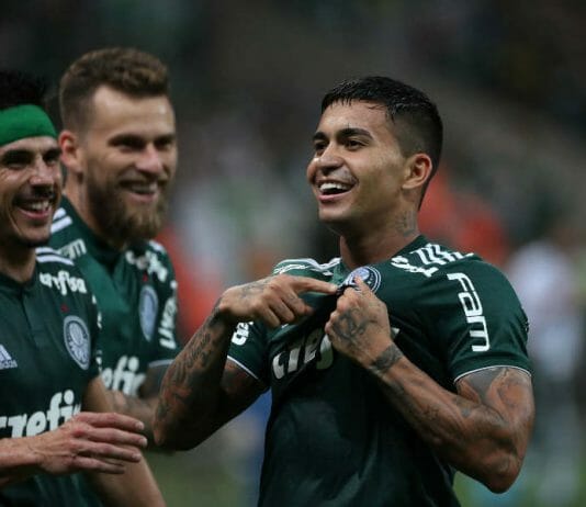dudu palmeiras comemora