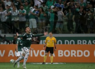 palmeiras comemoração