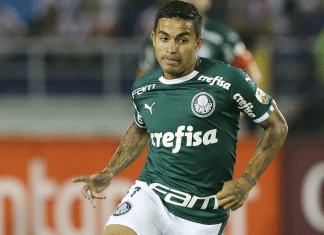 Dudu Palmeiras