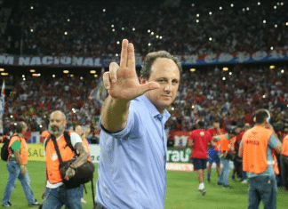 rogerio ceni