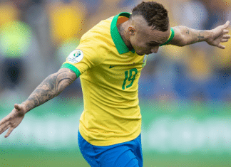 seleção brasileira everton