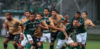 palmeiras santos
