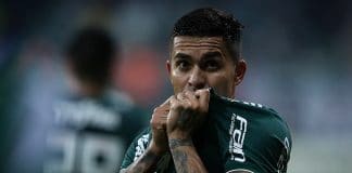 dudu comemora palmeiras