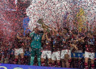 flamengo campeonato brasileiro